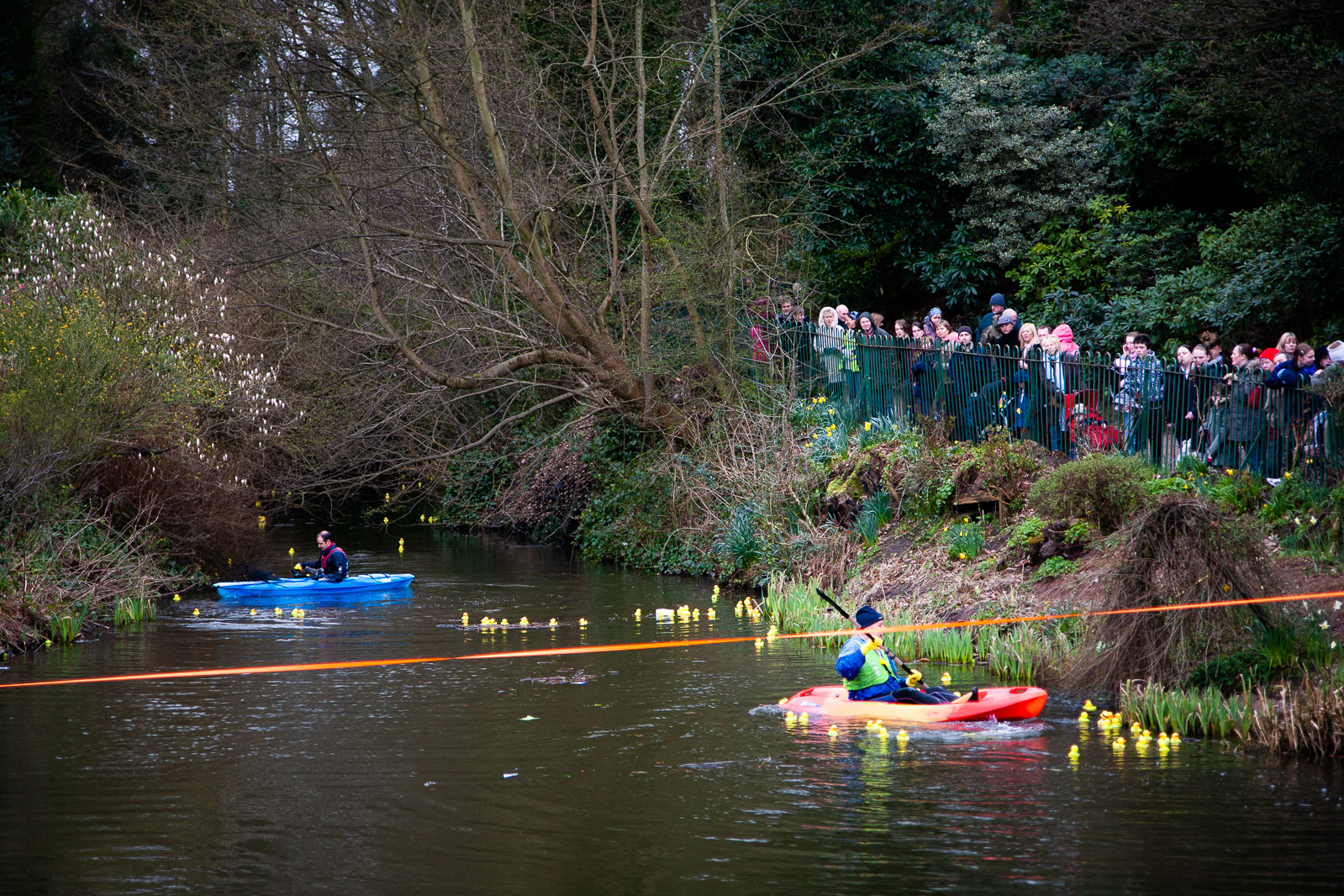Lymm Duck Race lymm.uk